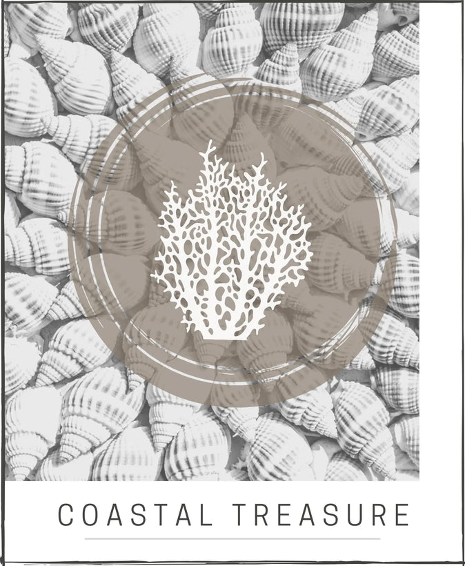 Coastal Treasure Pillow Collection