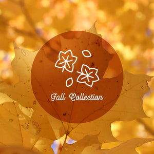 Fall/Winter Collection Mod Lifestyles