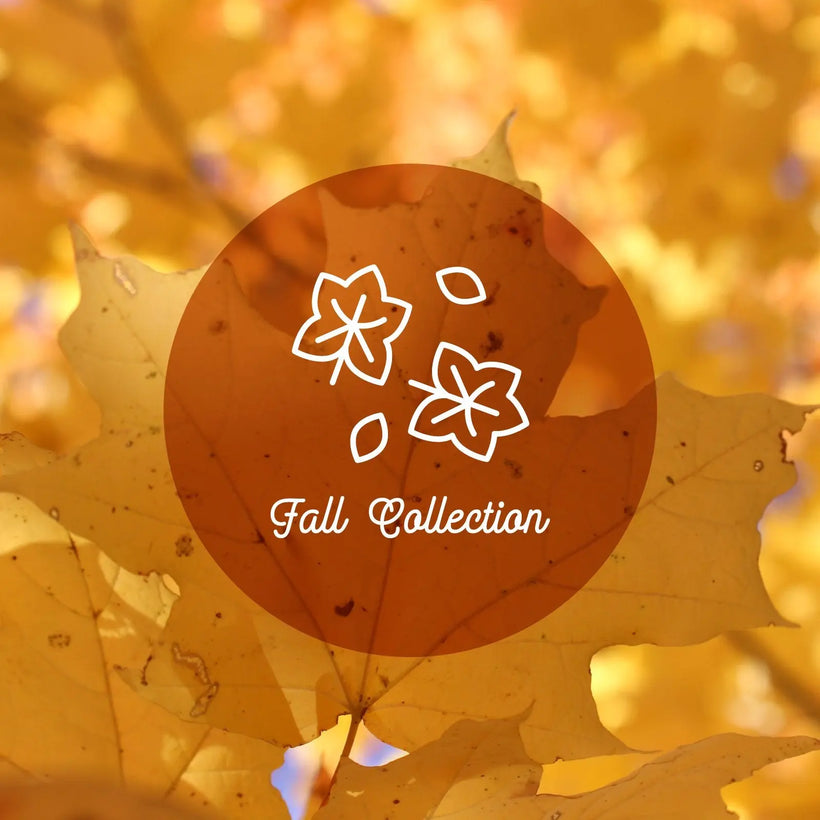 Fall/Winter Collection